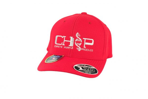 ClassFlexFit110.003.01.1-Chp-Athletics-Classic-Flex-Fit-110-Hat-Red-with-Gray-Embroidery